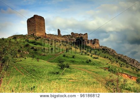 Coltesti Fortress