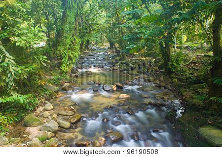 Mountain stream