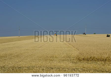 Harvesting Under The Beautiful Blue Sky