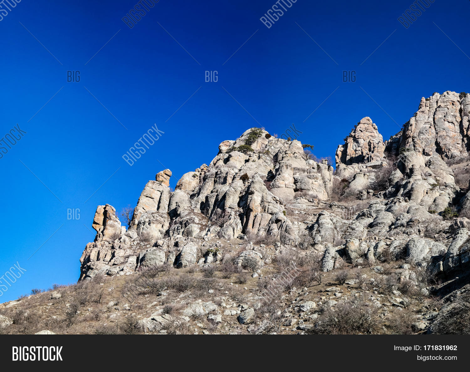 Image Preview