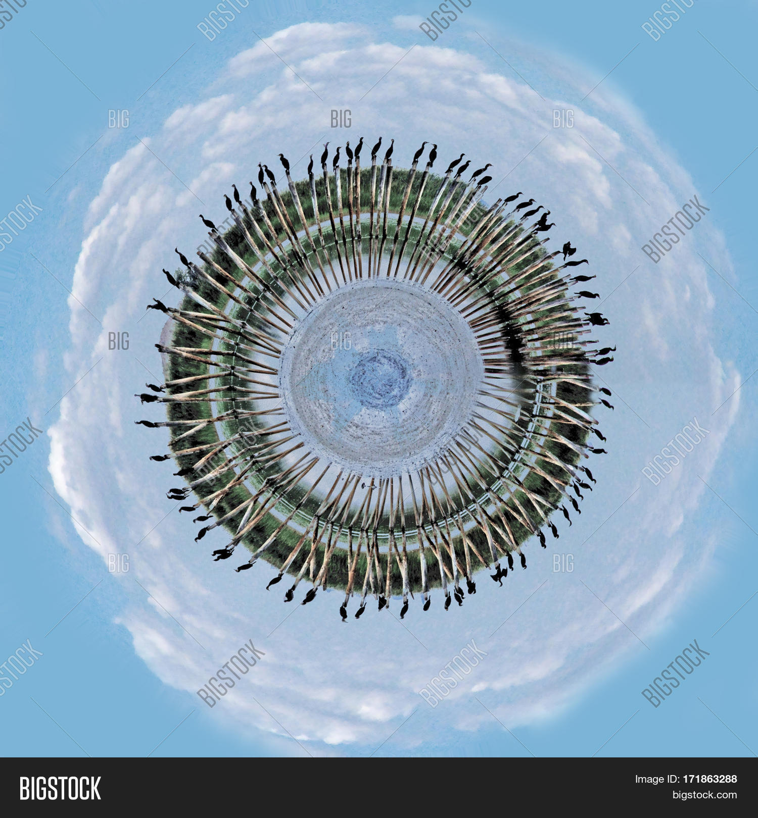 Image Preview