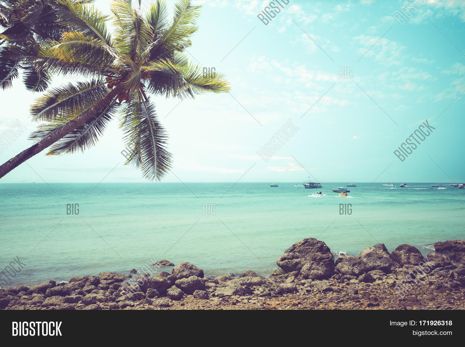 Image Preview