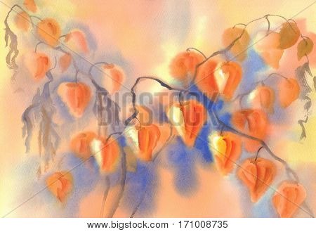 Husk tomato bouquet watercolor background. Autumn colors