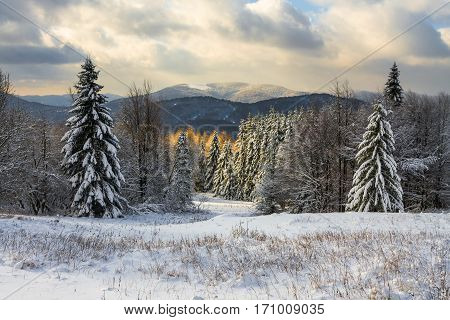 Beautiful Winter Landscape In The Mountains, Bieszczady, Poland