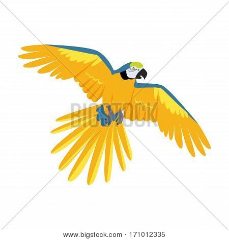 Ara parrot vector. Birds of Amazonian forests in flat design illustration. Fauna of South America. Flying colorful Ara parrot for icons, posters, childrens books illustrating. Isolated on white.