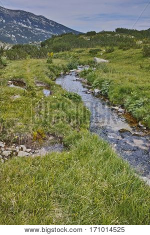 Landscape with Mountain river near Dzhano peak, Pirin mountain, Bulgaria