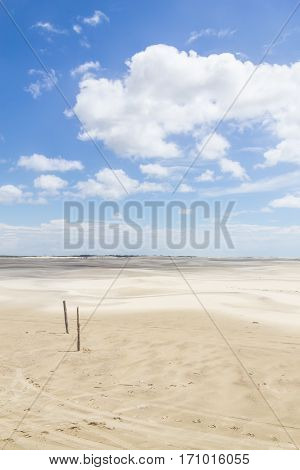 Dunes In The Tavares Beach