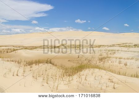 Dunes In Tavare City