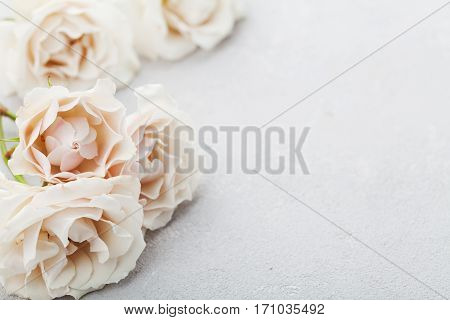 Beautiful vintage rose flowers on gray stone table. Floral border. Pastel color.
