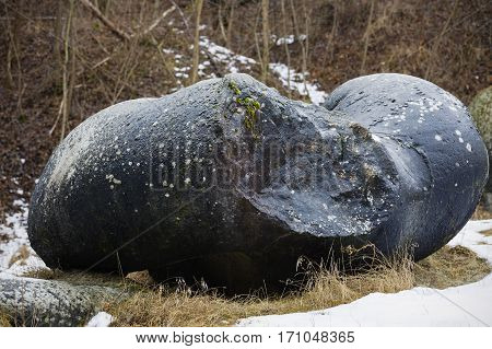 Rare Rock Formations Of (trovantii) Of Costesti, Valcea, Romania