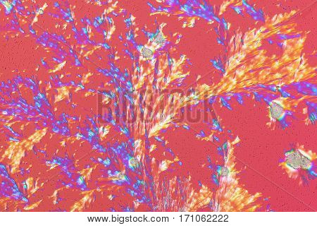 Colorful micro crystals through the microscope in polarized light