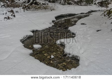 Biely Creek With Stones And Clean Water In Slovakia Mountains