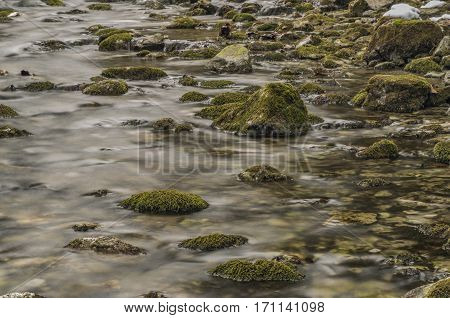 Biely Creek With Stones And Clean Water In Slovakia Mountains