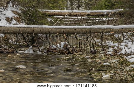 Biely Creek With Stones And Clean Water In Slovakia Mountains