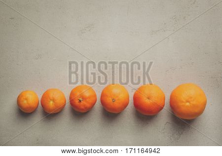 Juicy tangerines in row on grey background
