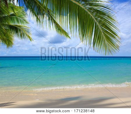 Beautiful caribbean sea and green palm leaves . Sommer ocean landscape as background.