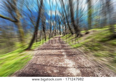 Froest road in motion blur on a sunny day