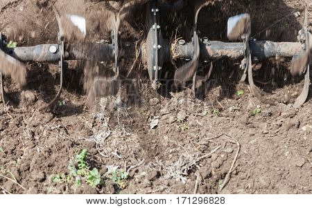Garden tiller to work tractor cultivating field at spring loosens soil by petrol cultivator close-up
