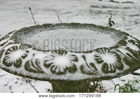 a light dusting of snow on a birdbath makes the cement flowers and leaves stand out