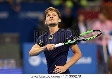 Tennis Player David Goffin