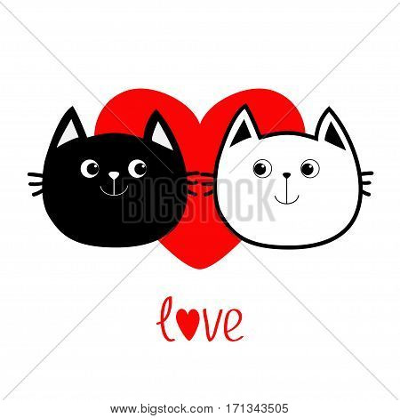 Black White Contour Vector Photo Free Trial Bigstock
