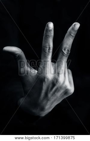 American Sign Language (ASL) is the predominant sign language of Deaf communities in the United States and most of anglophone Canada.