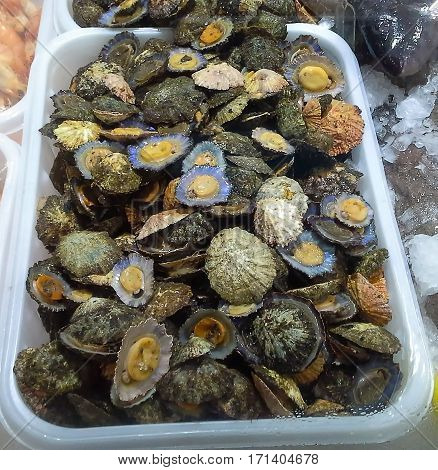 Seafood. Lapas grelhadas. Madeira's traditional dish and a typical snack on Canary Islands.