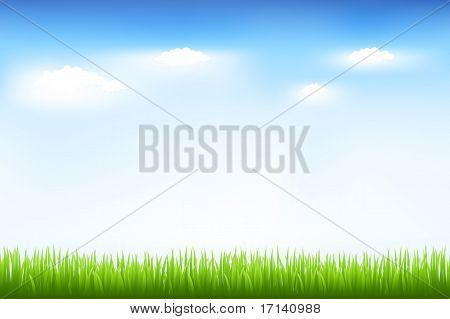Erba verde e blu cielo