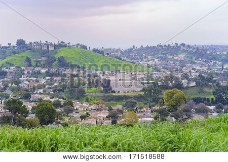 Beautiful Nature Landscape On Ascot Hills Park
