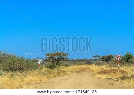 A view of African Savannah and dirt road with traffic sign
