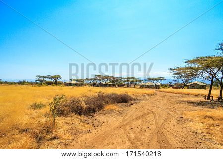 A view of african savannah and dirt road.