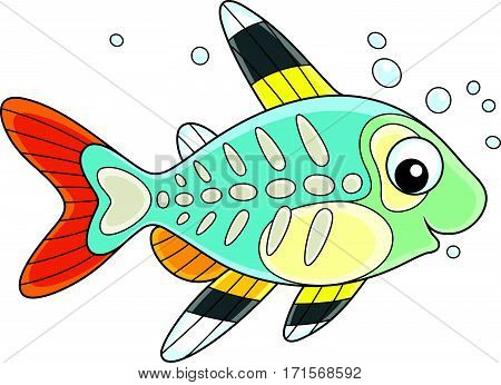Vector illustration of a small brightly colored tropical fish with a transparent body