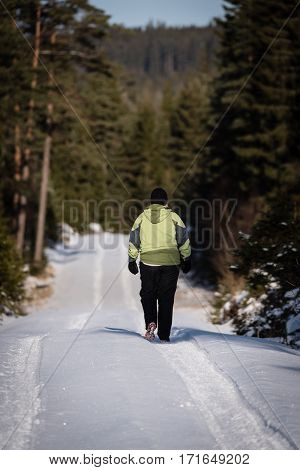 women walking in snow through a forest in Sweden