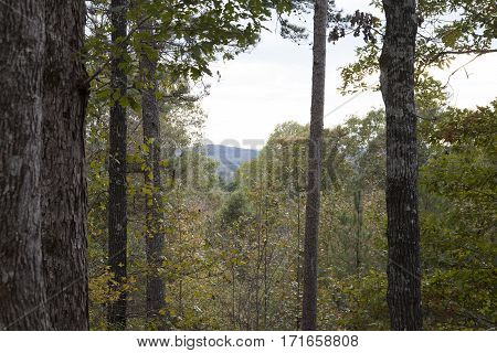 Mount Driskell