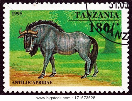 TANZANIA - CIRCA 1995: a stamp printed in Tanzania shows Antilocapridae circa 1995