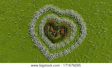 A variety of tulips and daisies in the shape of a heart on a green field 3D illustration