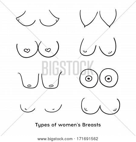 Types of women's Breasts. Women's Breast Icon Breast Icon Vector illustration