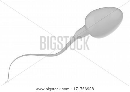 3d rendering white sperm isolated on white