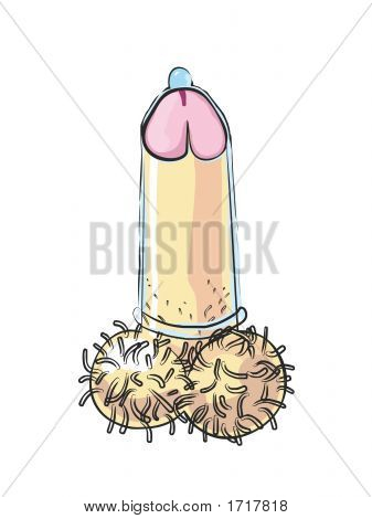 condom on erect penis Condom on erect penis