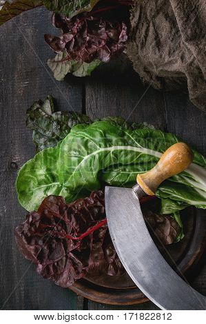 Chard Mangold Salad Leaves