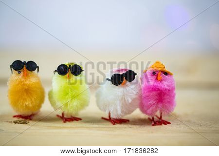 Funny colorful chicks, greeting card, background, postcard