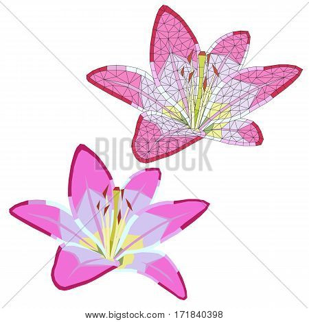 tender mosaic lily on white background. isolated. vector illustration.