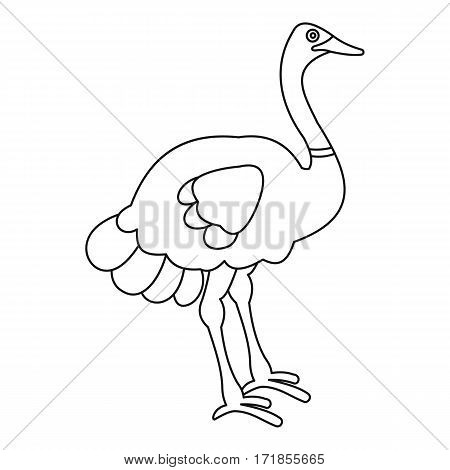 Ostrich icon. Outline illustration of ostrich vector icon for web