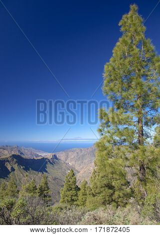 Central Gran Canaria In February