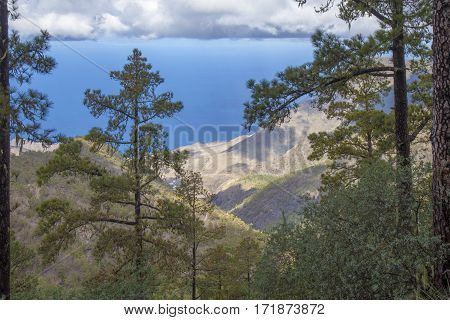 Central Gran Canaria In January
