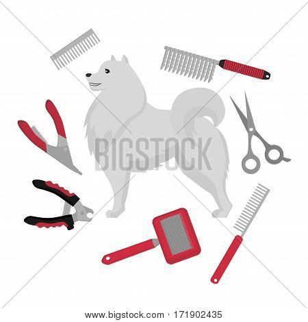 Flat grooming salon equipment set, dog haircut tools icons. Doggy groomer collection, nail clipper, cutter, Slicker and brush, comb, scissors and dematters. Samoyed puppy.