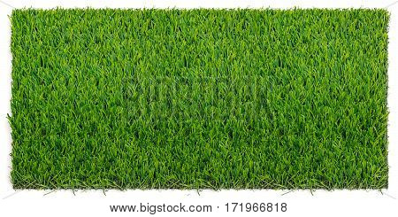 Grass mat isolated on white background. Artificial turf tile background.