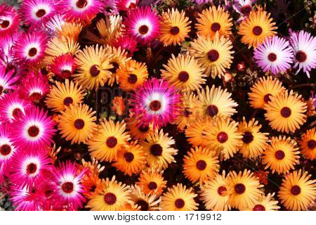 Gegensätzliche Farben