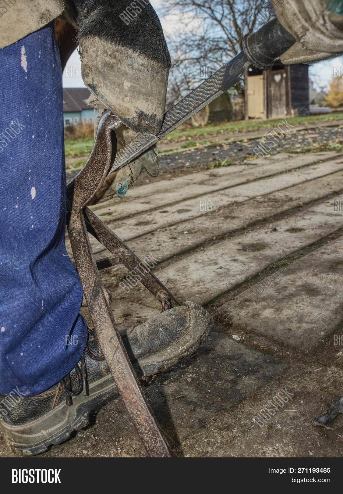 Blacksmith Using Rasp Image & Photo (Free Trial) | Bigstock