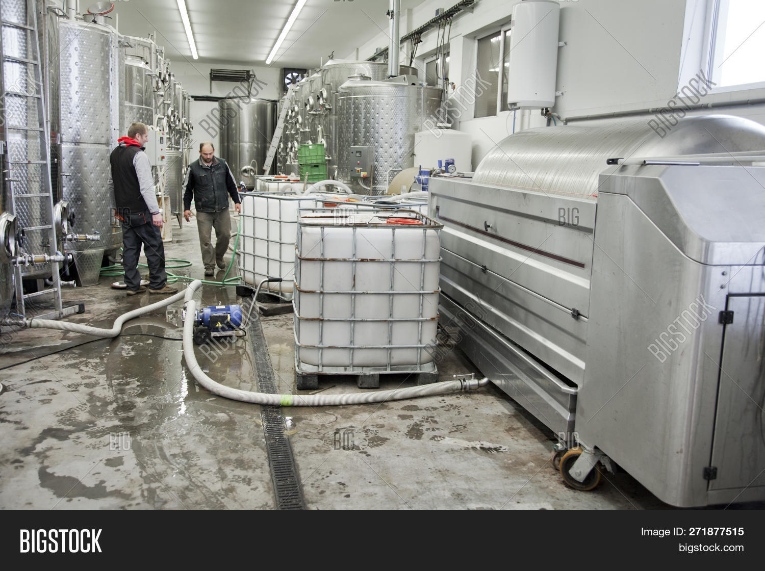 Winemaker Wine Image & Photo (Free Trial) Bigstock